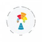 LALLEMAND WildBrew™ Philly Sour - 11 g