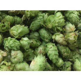 Letárolt leveles komló, Lambic sörhöz 50g