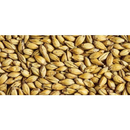 Simpsons AROMATIC MALT