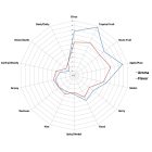 Cashmere komlópellet 100g