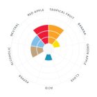 Lallemand Verdant IPA Ale Yeast, 11 G