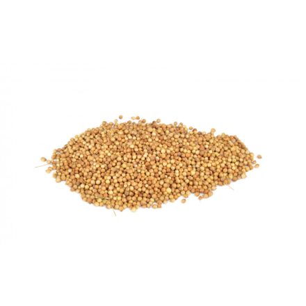 Koriander mag 1 kg