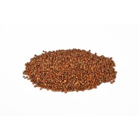 Grains of paradise 1 kg