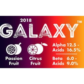 Galaxy™ komlópellet T90, 100g 