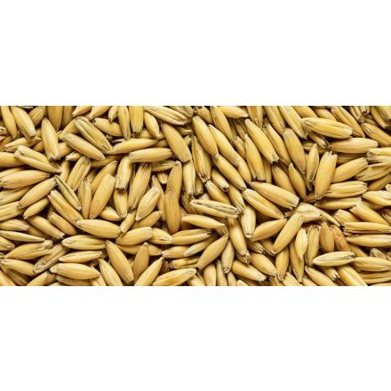 Simpsons Malted Oats (zabmaláta)